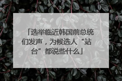 选举临近韩国前总统们发声，为候选人“站台”都说些什么