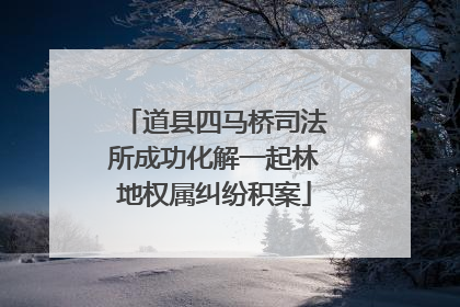 道县四马桥司法所成功化解一起林地权属纠纷积案