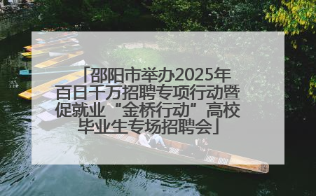 邵阳市举办2025年百日千万招聘专项行动暨促就业“金桥行动”高校毕业生专场招聘会