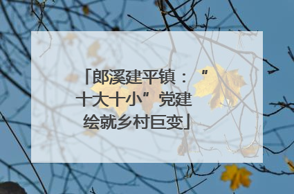 郎溪建平镇：“十大十小”党建 绘就乡村巨变