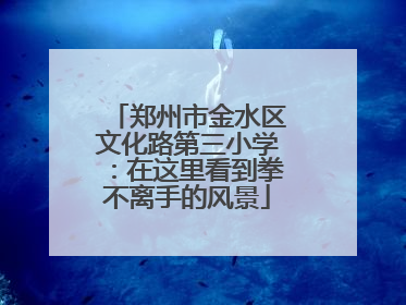 郑州市金水区文化路第三小学：在这里看到拳不离手的风景