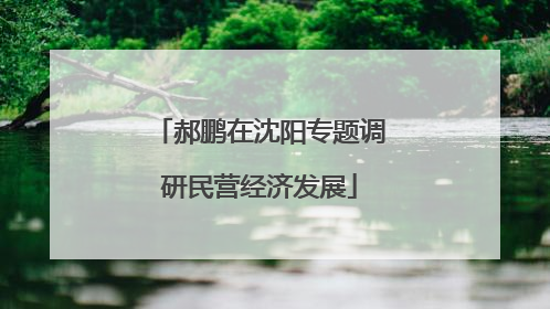 郝鹏在沈阳专题调研民营经济发展