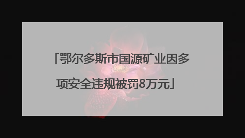 鄂尔多斯市国源矿业因多项安全违规被罚8万元
