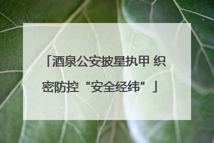 酒泉公安披星执甲 织密防控“安全经纬”