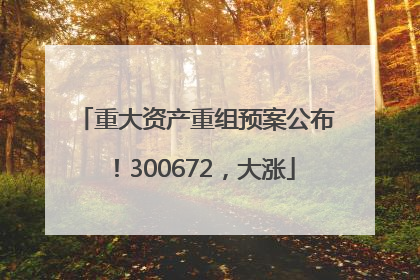 重大资产重组预案公布！300672，大涨