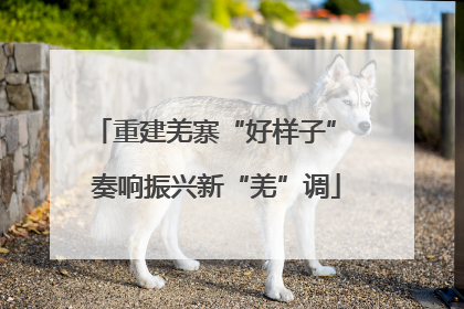 重建羌寨“好样子” 奏响振兴新“羌”调