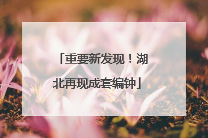 重要新发现！湖北再现成套编钟