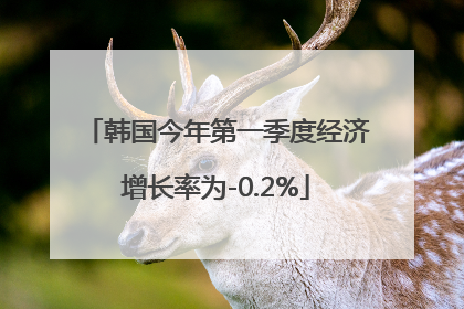 韩国今年第一季度经济增长率为-0.2%