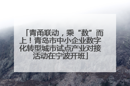 青甬联动，乘“数”而上！青岛市中小企业数字化转型城市试点产业对接活动在宁波开班