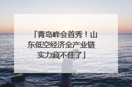 青岛峰会首秀！山东低空经济全产业链实力藏不住了
