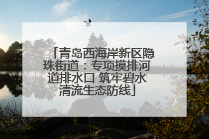 青岛西海岸新区隐珠街道：专项摸排河道排水口 筑牢碧水清流生态防线