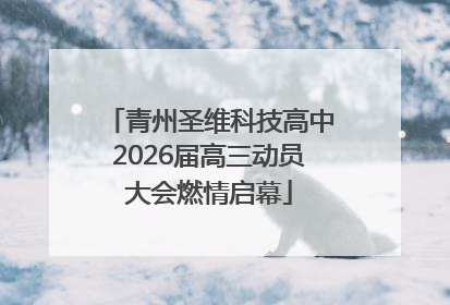 青州圣维科技高中2026届高三动员大会燃情启幕