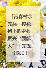 青春村余先兵：樱花树下的乡村振兴“领航人”｜先锋引领⑪