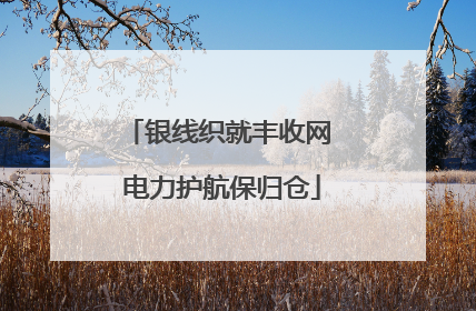 银线织就丰收网 电力护航保归仓