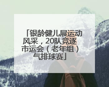 银龄健儿展运动风采，20队竞逐市运会（老年组）气排球赛