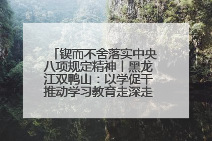 锲而不舍落实中央八项规定精神丨黑龙江双鸭山：以学促干推动学习教育走深走实 从小事入手写好“民生答卷”