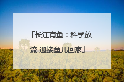 长江有鱼：科学放流 迎接鱼儿回家