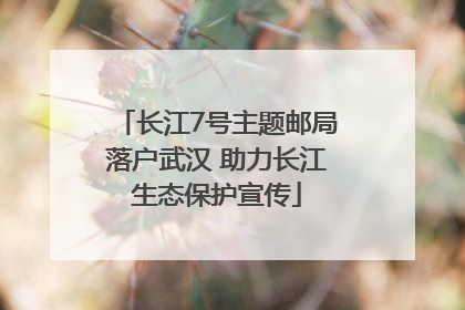长江7号主题邮局落户武汉 助力长江生态保护宣传