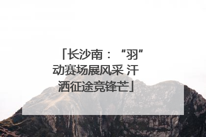 长沙南：“羽”动赛场展风采 汗洒征途竞锋芒