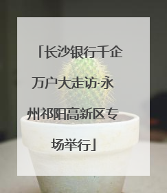 长沙银行千企万户大走访·永州祁阳高新区专场举行
