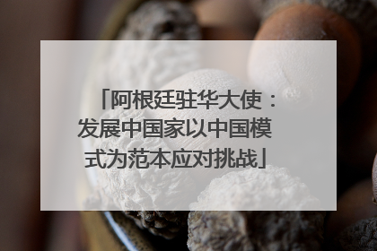 阿根廷驻华大使：发展中国家以中国模式为范本应对挑战