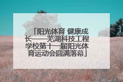 阳光体育 健康成长——芜湖科技工程学校第十一届阳光体育运动会圆满落幕