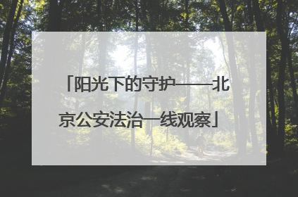 阳光下的守护——北京公安法治一线观察