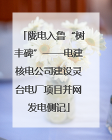 陇电入鲁“树丰碑”——电建核电公司建设灵台电厂项目并网发电侧记