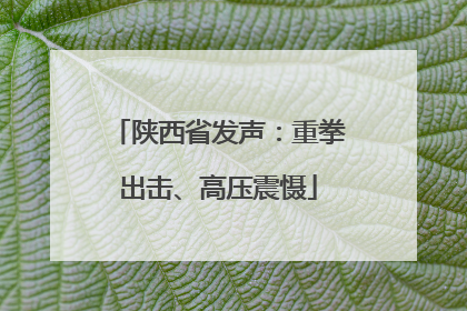 陕西省发声：重拳出击、高压震慑