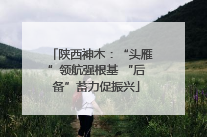 陕西神木：“头雁”领航强根基 “后备”蓄力促振兴