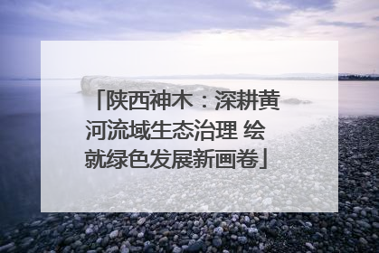 陕西神木：深耕黄河流域生态治理 绘就绿色发展新画卷