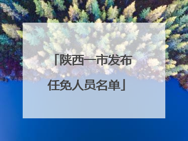 陕西一市发布任免人员名单