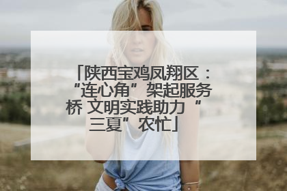 陕西宝鸡凤翔区：“连心角”架起服务桥 文明实践助力“三夏”农忙