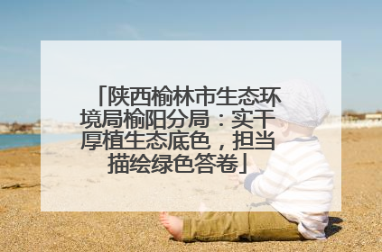 陕西榆林市生态环境局榆阳分局：实干厚植生态底色，担当描绘绿色答卷