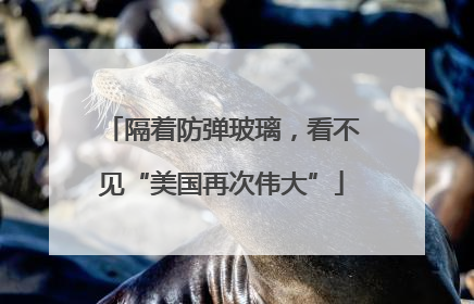 隔着防弹玻璃，看不见“美国再次伟大”