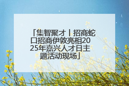 集智聚才丨招商蛇口招商伊敦亮相2025年嘉兴人才日主题活动现场