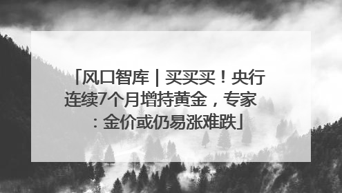 风口智库｜买买买！央行连续7个月增持黄金，专家：金价或仍易涨难跌