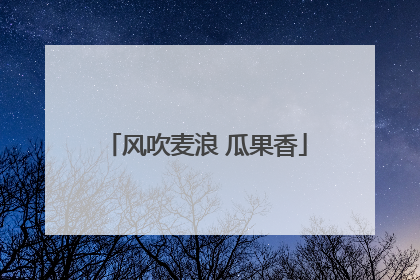 风吹麦浪 瓜果香