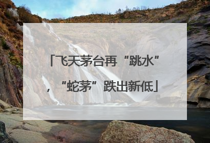 飞天茅台再“跳水”，“蛇茅”跌出新低