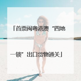 首票闽粤港澳“四地一锁”出口货物通关