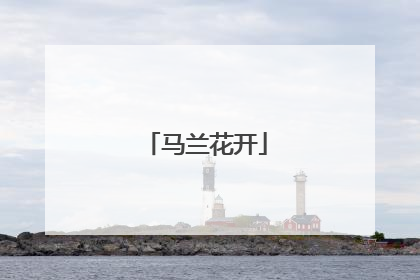 马兰花开