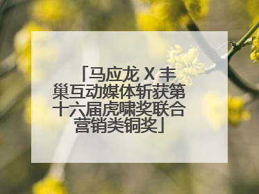 马应龙 X 丰巢互动媒体斩获第十六届虎啸奖联合营销类铜奖