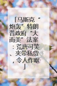 马斯克“炮轰”特朗普政府“大而美”法案：荒唐可笑、夹带私货，令人作呕