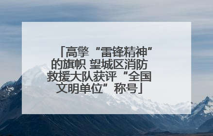 高擎“雷锋精神”的旗帜 望城区消防救援大队获评“全国文明单位”称号