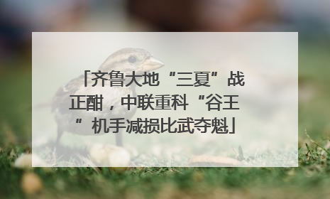 齐鲁大地“三夏”战正酣，中联重科“谷王”机手减损比武夺魁
