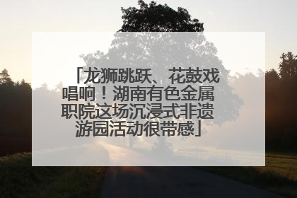 龙狮跳跃、花鼓戏唱响！湖南有色金属职院这场沉浸式非遗游园活动很带感