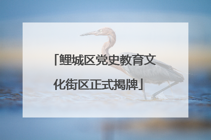 鲤城区党史教育文化街区正式揭牌