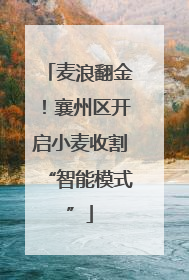 麦浪翻金！襄州区开启小麦收割“智能模式”