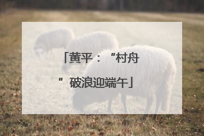 黄平：“村舟”破浪迎端午