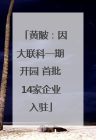 黄陂：因大联科一期开园 首批14家企业入驻